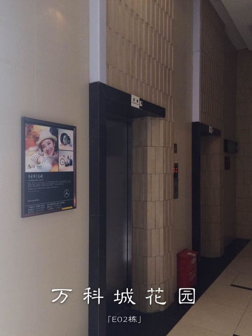 廣州樓宇電梯廣告公司專業(yè)服務(wù)與市場分析